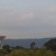 Dishes like these will form an network of telescopes, known as the African VLBI Network.